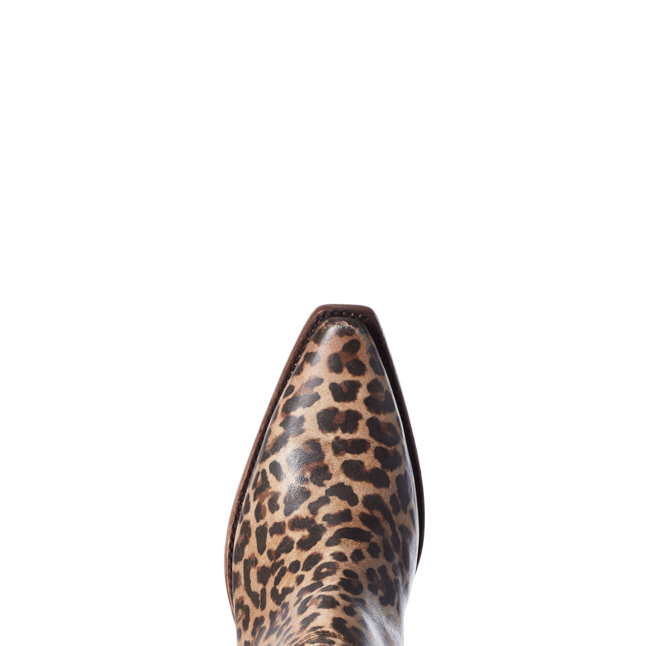 ARIAT WOMENS DIXONS DISTRESSED LEOPARD