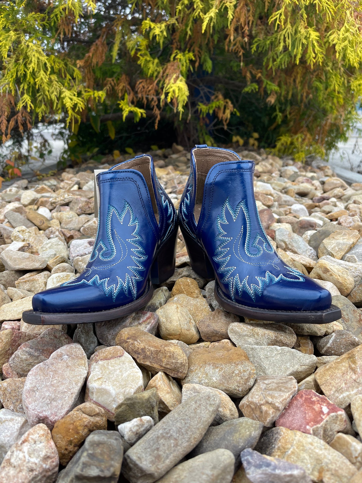 ARIAT SIN CITY DIXON (METALLIC BLUE)