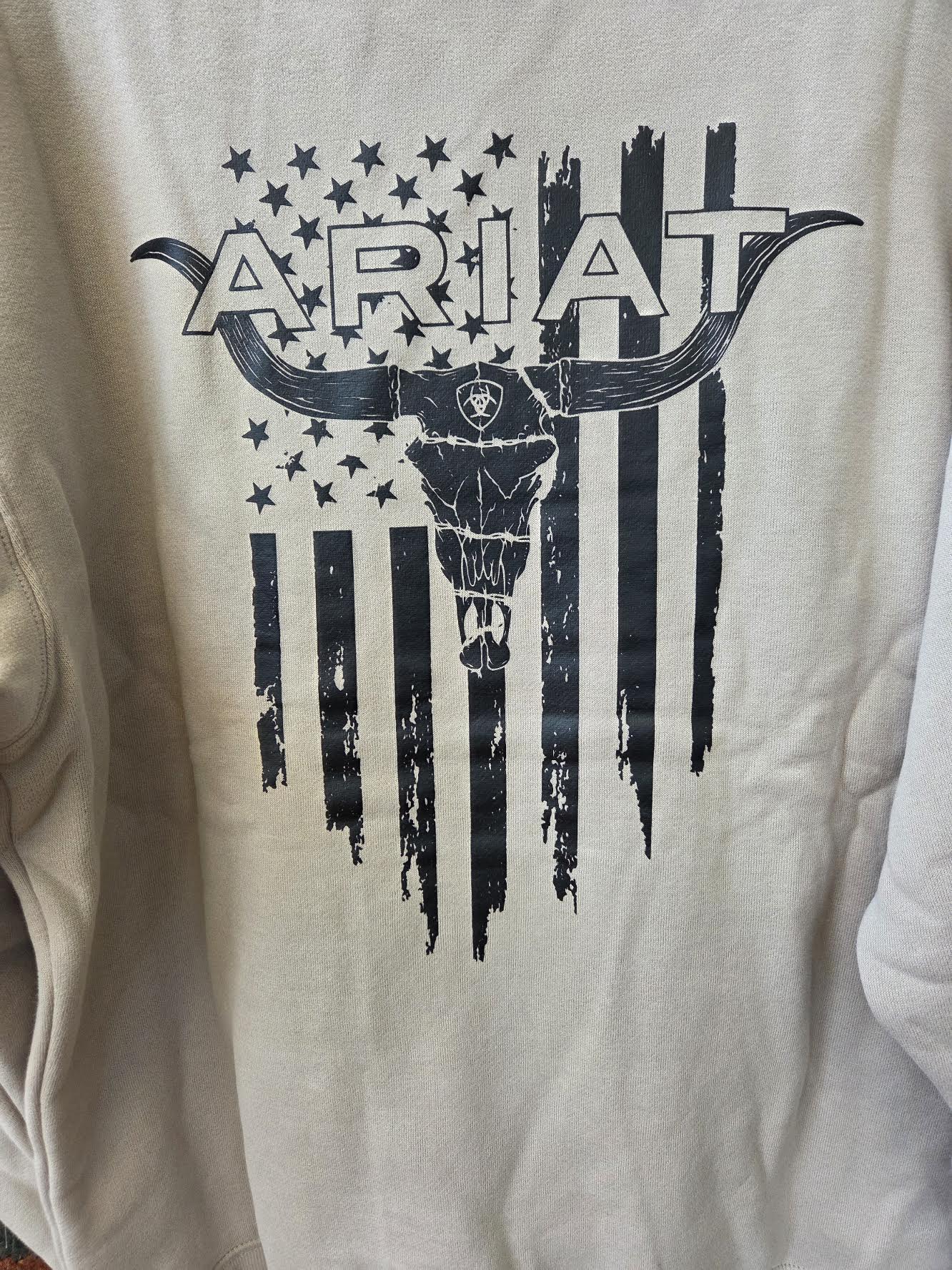 Ariat Men's Longhorn Thrash Hoody