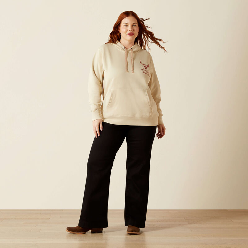 ARIAT WOMENS STITCH HOODIE (OYSTER GREY)