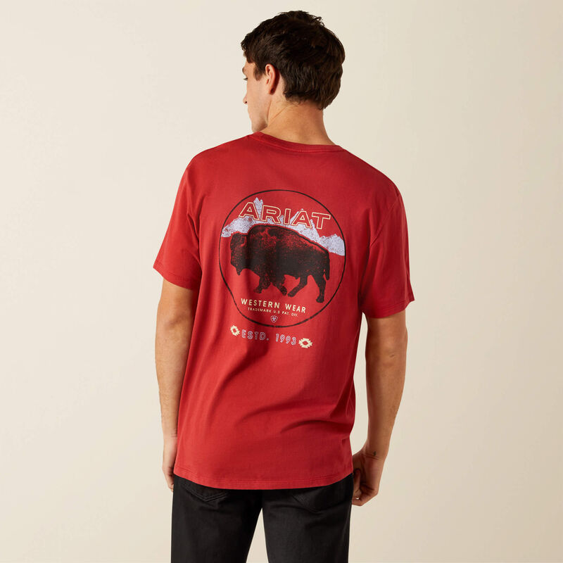 ARIAT MENS PATRIOT BUFFALO COIN SS TSHIRT