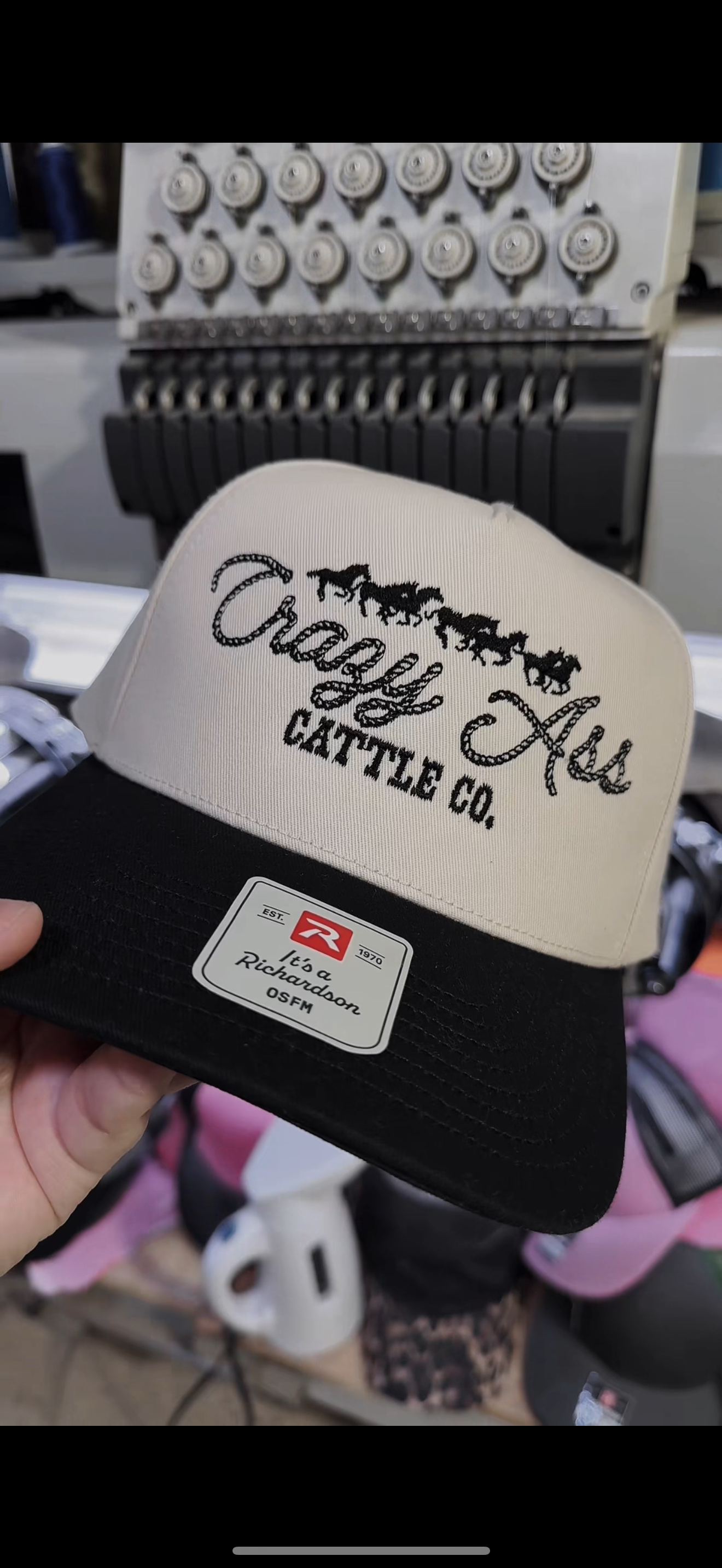 Crazy Ass Cattle Co Horses