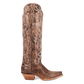 DAN POST WOMEN'S Rustic RIDGE BOOT