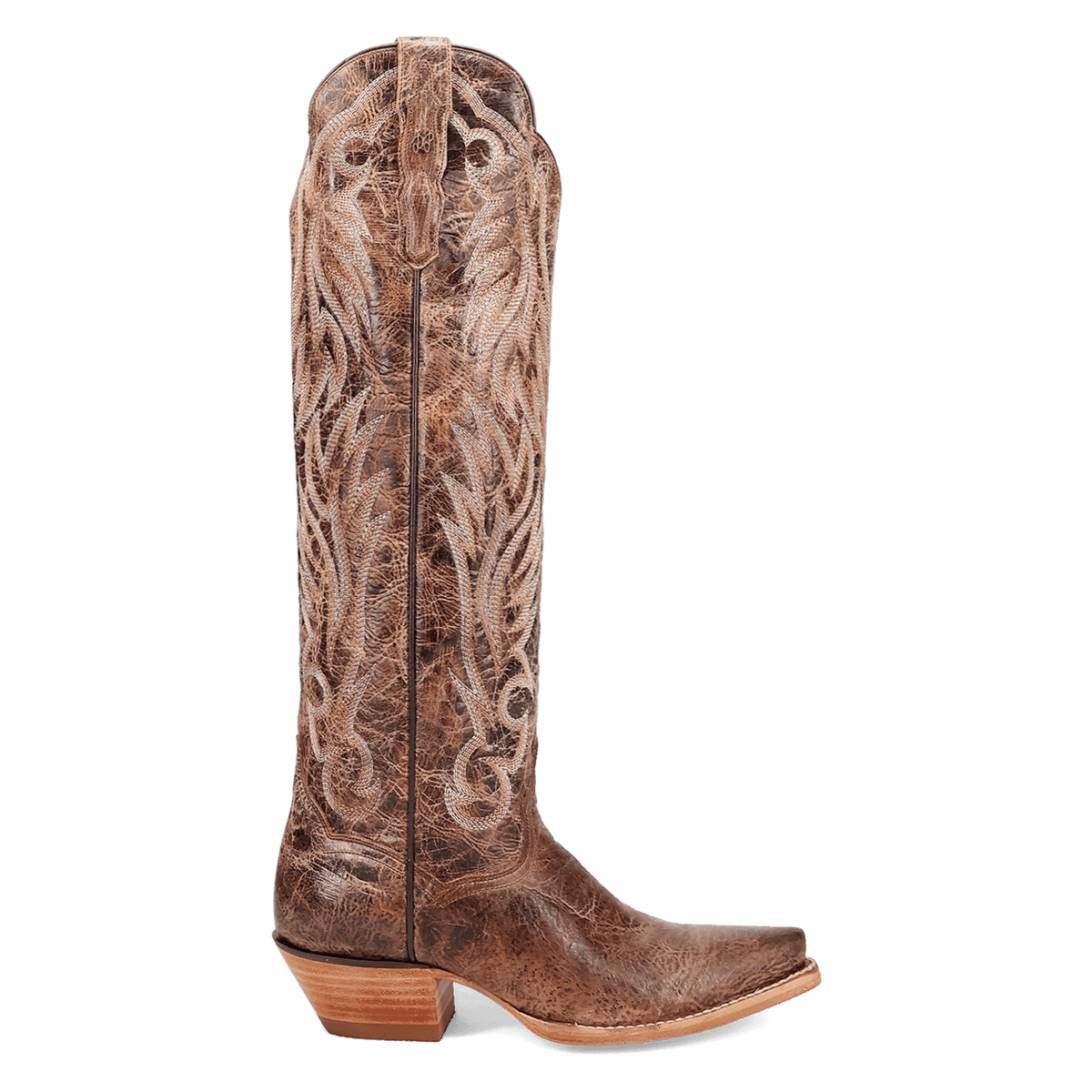 DAN POST WOMEN'S Rustic RIDGE BOOT