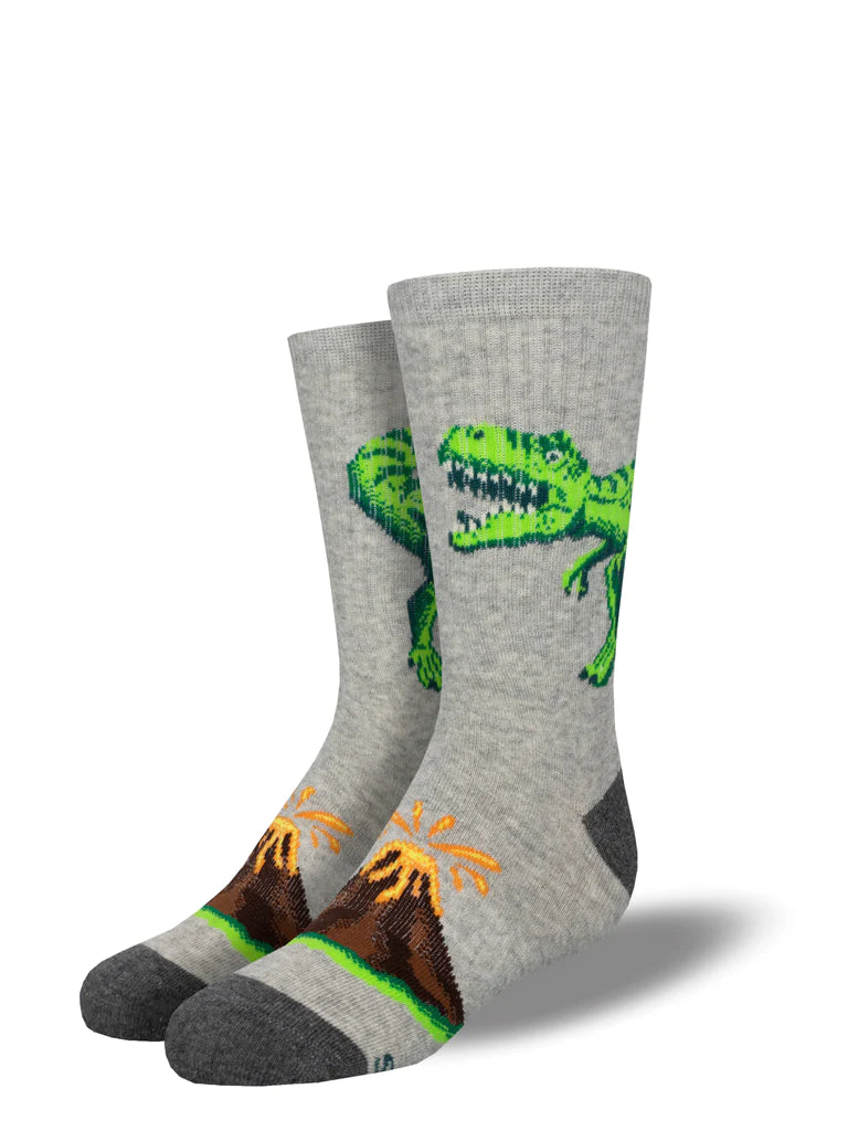 SOCK SMITH "HEAR ME ROAR" KIDS SOCKS