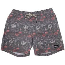 Hooey  YOUTH "Bigwake" Multi Color Comanche Charcoal Print Board Short
