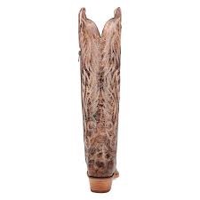 DAN POST WOMEN'S Rustic RIDGE BOOT
