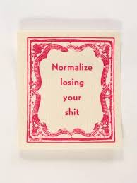 NORMALIZE LOSING YOUR SHIT DISH CLOTH