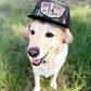 RED DIRT HAT CO FLY SOUTH RDHC-489
