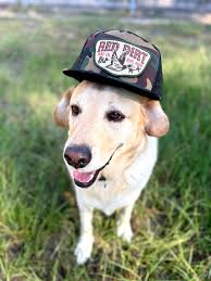 RED DIRT HAT CO FLY SOUTH RDHC-489