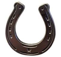 AMERICAN HAT MAKERS Horse Shoe | Magnetic Hat Pin