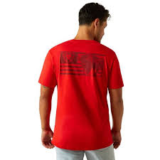 ARIAT Men's Etched Buffalo LOTF Flag Short Sleeve Graphic T-Shirt