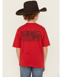 Ariat Boys' Buffalo Flag Short Sleeve Graphic T-Shirt