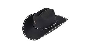 CHARLIE 1 HORSE BUCK SNORT HAT