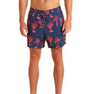 Rock & Roll Men's Royal Palm Swim Volley Shorts BM68W05970