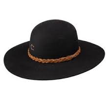 CHARLIE 1 HORSE WANDERLUST JR (BLACK)